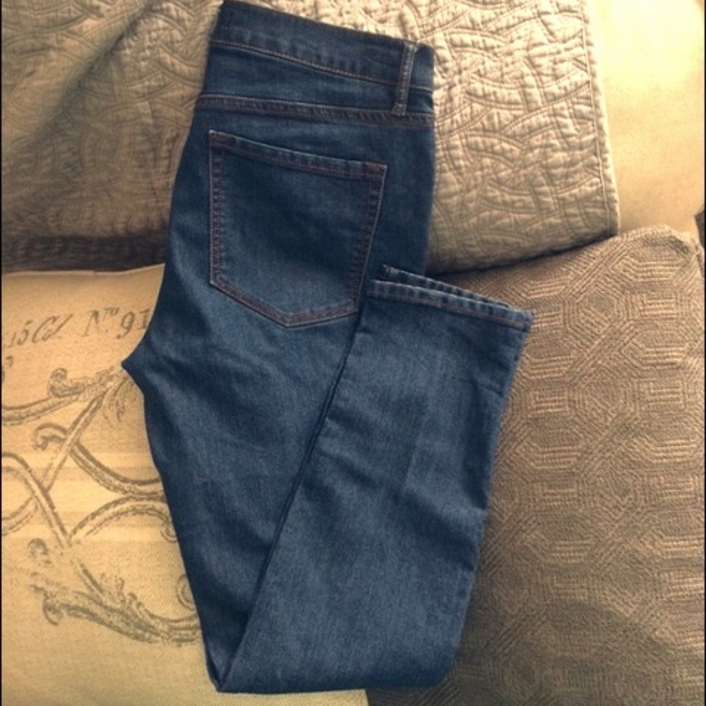 LOFT Modern Skinny Denim Size 6 Reg